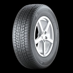 Gislaved EuroFrost 6 (205/55R16)